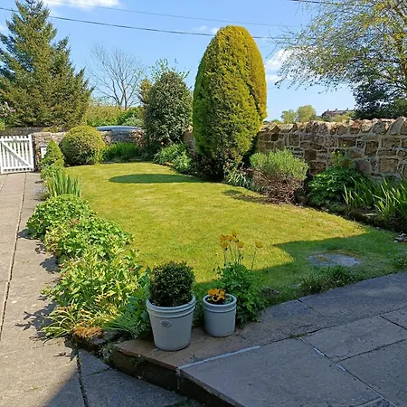 Host & - Honeysuckle * Moorsholm